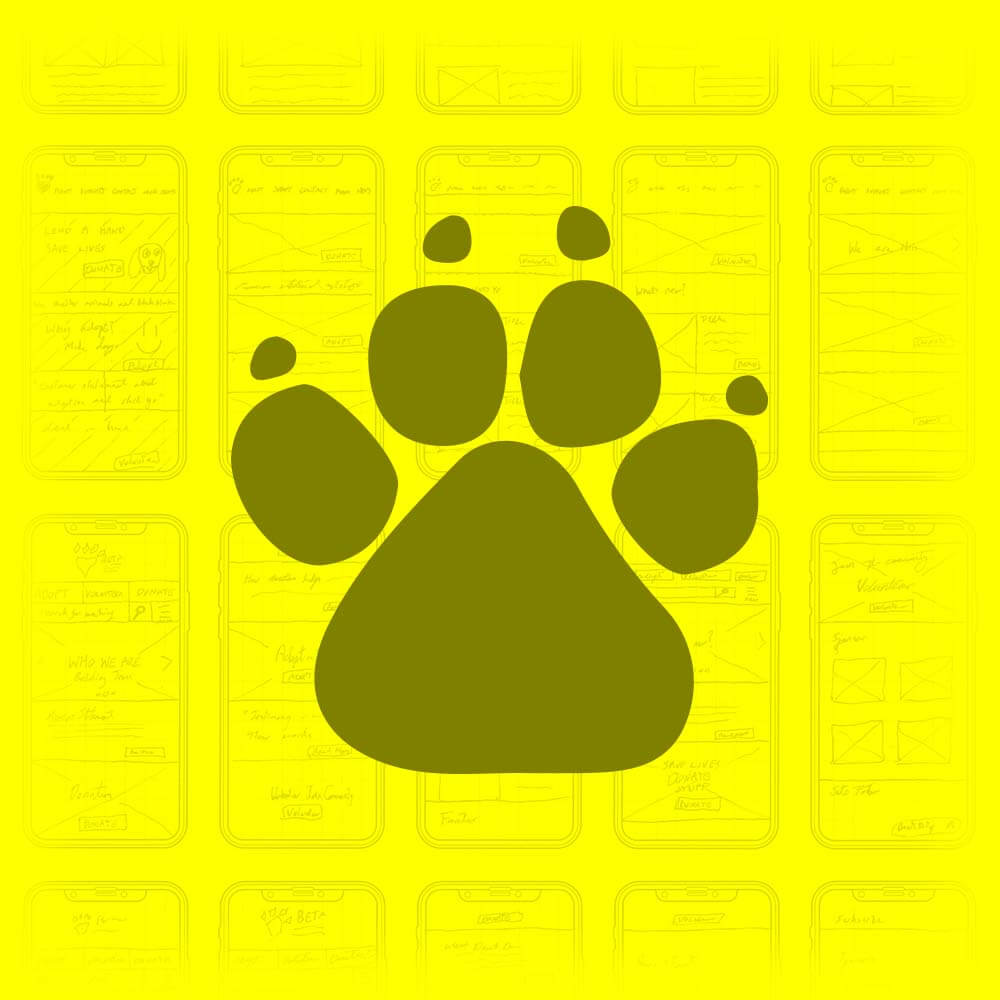 BETA Pet Adoption UI/UX and Research Project
